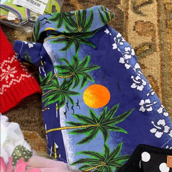 Dog halters and bows and dresses - Picture 3 of 8